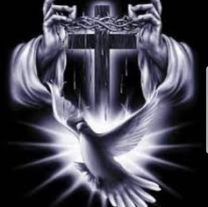 Meet your Posher, Sheliqua